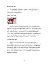 Viskas apie arklius 6 puslapis