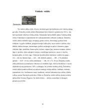 Viskas apie arklius 10 puslapis