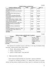 Verslo planas: šiaudinių namų projektavimas ir statyba IĮ "Šiaudrija" 10 puslapis