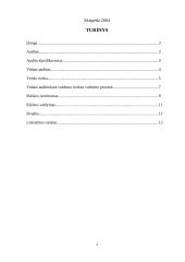 Vidaus audito reikšmė rizikos valdymo procese 2 puslapis