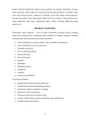 Vidaus audito reikšmė rizikos valdymo procese 11 puslapis