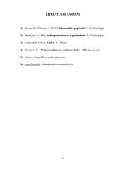 Vidaus audito reikšmė rizikos valdymo procese 13 puslapis