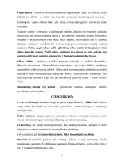 Vidaus audito reikšmė rizikos valdymo procese 5 puslapis