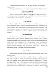 Viešųjų kalbų rūšys ir jų rengimo metodika 12 puslapis