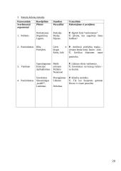 Viešųjų kalbų rūšys ir jų rengimo metodika 20 puslapis