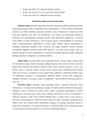 Viešųjų kalbų rūšys ir jų rengimo metodika 7 puslapis