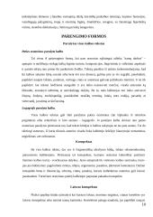 Viešųjų kalbų rūšys ir jų rengimo metodika 10 puslapis