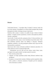 Viešųjų kalbų rūšys, jų rengimo metodika 2 puslapis