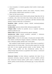 Viešųjų kalbų rūšys, jų rengimo metodika 3 puslapis