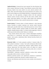 Viešųjų kalbų rūšys, jų rengimo metodika 4 puslapis