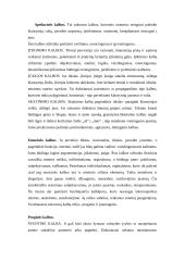 Viešųjų kalbų rūšys, jų rengimo metodika 6 puslapis