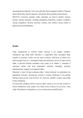 Viešųjų kalbų rūšys, jų rengimo metodika 8 puslapis