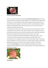 Ateities kompiuteriai 5 puslapis