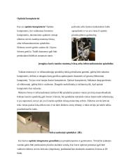 Ateities kompiuteriai 6 puslapis