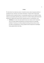 Ateities kompiuteriai 9 puslapis