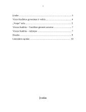 Vinco Kudirkos gyvenimo ir kūrybos apžvalga 2 puslapis