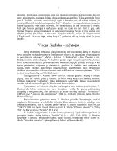 Vinco Kudirkos gyvenimo ir kūrybos apžvalga 7 puslapis