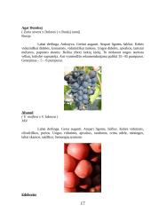 Vynmedžių veislių įvairovė 17 puslapis
