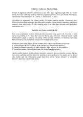 Atminties skirstymas ir valdymas 2 puslapis