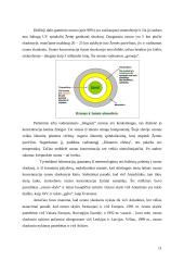 Atmosferinio, hidrosferinio deguonies ir ozono chemija 11 puslapis
