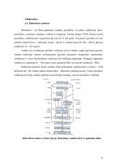 Atmosferinio, hidrosferinio deguonies ir ozono chemija 12 puslapis