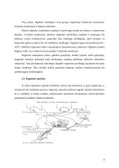 Atmosferinio, hidrosferinio deguonies ir ozono chemija 8 puslapis