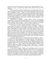 Virusų ir bakterijų palyginimas 2 puslapis