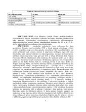 Virusų ir bakterijų palyginimas 4 puslapis