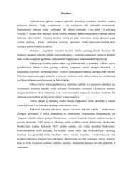 Visuotinės kokybės vadybai įtaką darantys faktoriai 15 puslapis