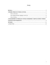 Atsakomybės už tarptautinės žmogaus teisių teisės pažeidimus ypatumai 2 puslapis