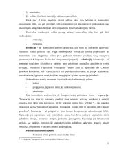 Atsakomybės už tarptautinės žmogaus teisių teisės pažeidimus ypatumai 11 puslapis