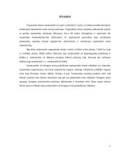 Atsakomybės už tarptautinės žmogaus teisių teisės pažeidimus ypatumai 13 puslapis