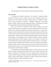 Atsakomybės už tarptautinės žmogaus teisių teisės pažeidimus ypatumai 5 puslapis