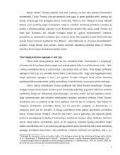 Atsakomybės už tarptautinės žmogaus teisių teisės pažeidimus ypatumai 6 puslapis