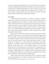 Atsakomybės už tarptautinės žmogaus teisių teisės pažeidimus ypatumai 8 puslapis