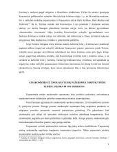 Atsakomybės už tarptautinės žmogaus teisių teisės pažeidimus ypatumai 9 puslapis