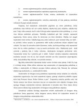 Atsakomybės už tarptautinės žmogaus teisių teisės pažeidimus ypatumai 10 puslapis