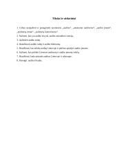 Audito esmė 2 puslapis