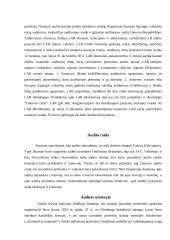 Audito esmė 11 puslapis