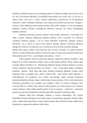 Audito esmė 12 puslapis