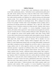 Audito esmė 13 puslapis