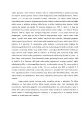 Audito esmė 14 puslapis