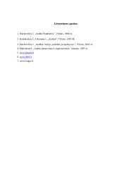 Audito esmė 16 puslapis