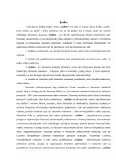 Audito esmė 3 puslapis