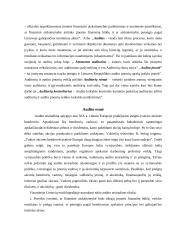 Audito esmė 4 puslapis