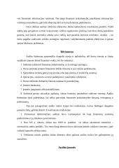 Audito esmė 7 puslapis