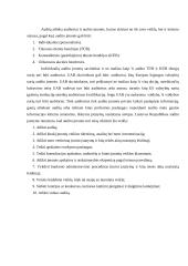 Audito esmė 8 puslapis