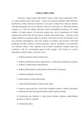 Audito esmė 9 puslapis