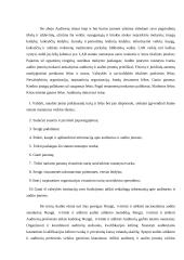 Audito esmė 10 puslapis