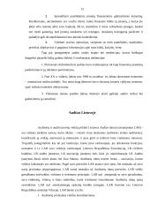 Auditas, jo svarba ir būtinumas 11 puslapis